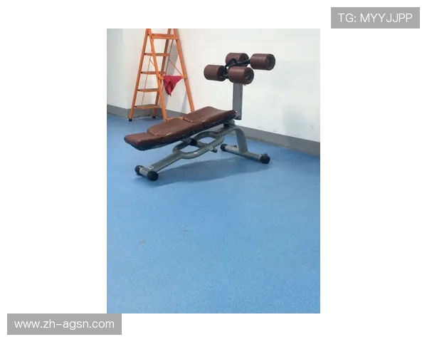 液压健身器材对比传统器械:静音、顺滑、安全性大比拼 液压健身器材对比传统器械:静音、顺滑、安全性大比拼